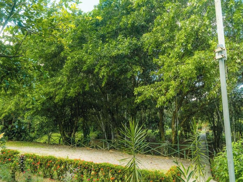 Natural Green Lodge image
