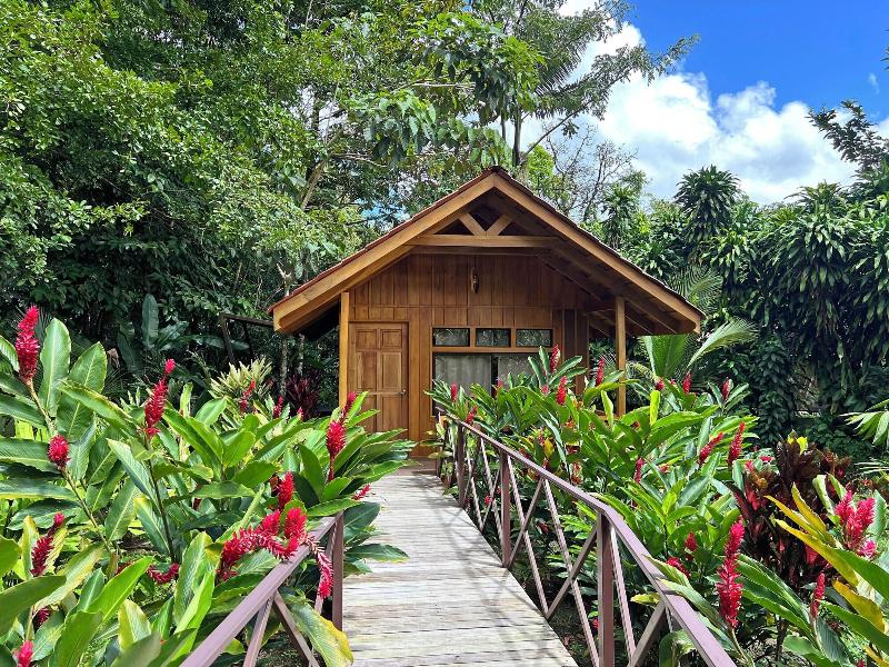 Natural Green Lodge image
