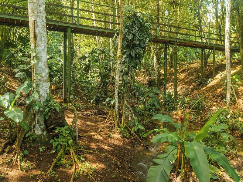 Natural Green Lodge image