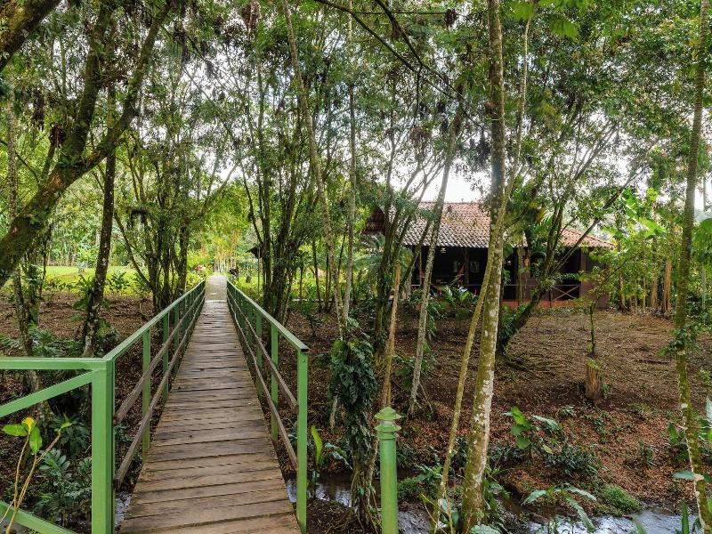 Natural Green Lodge image