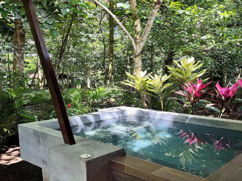 Natural Green Lodge image