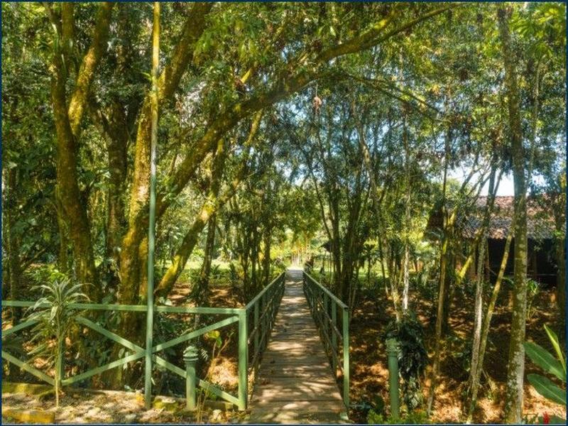 Natural Green Lodge image