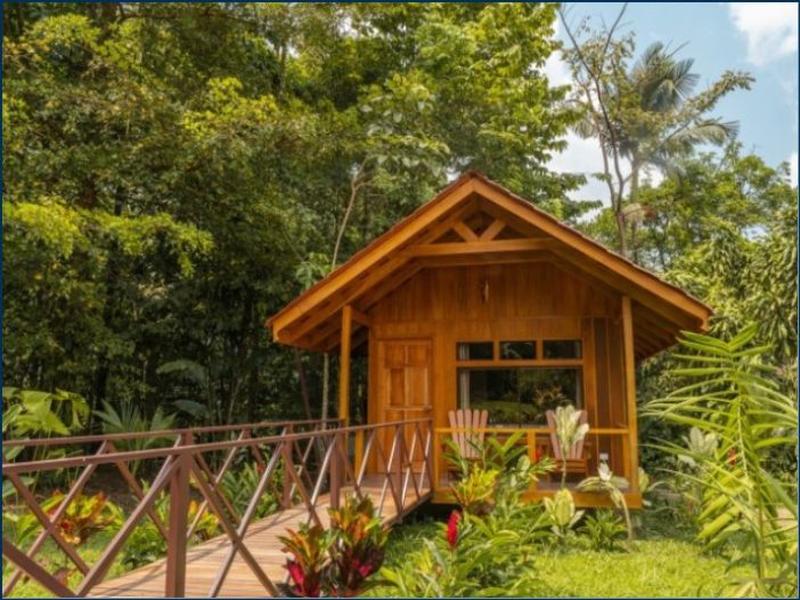 Natural Green Lodge image