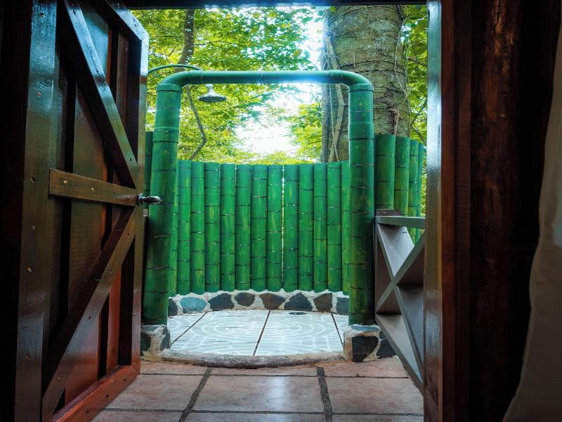 Natural Green Lodge image