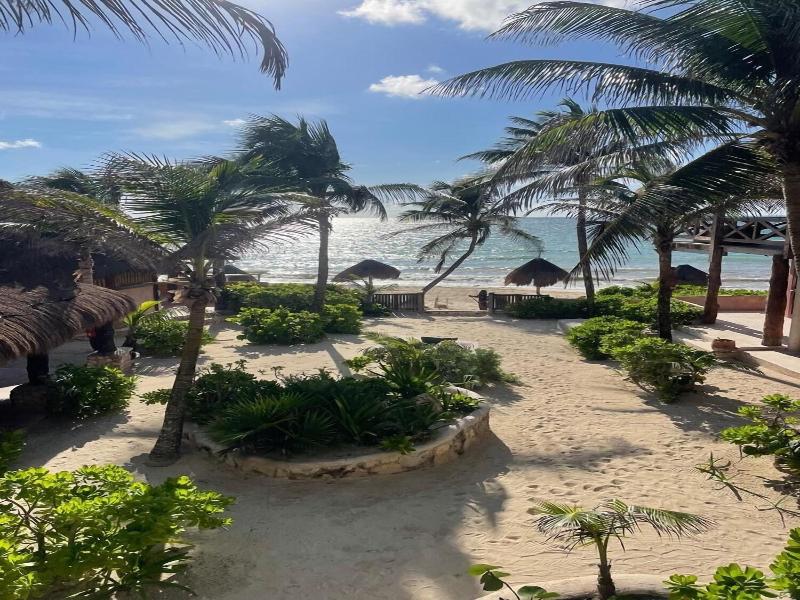 La Conchita Tulum image