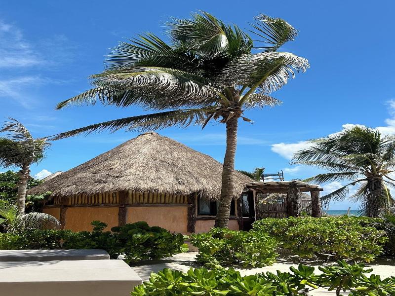 La Conchita Tulum image