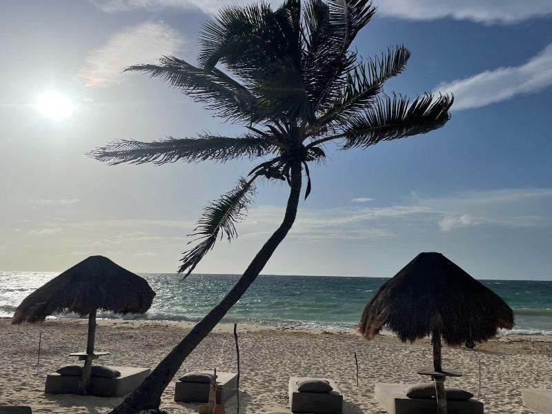 La Conchita Tulum image