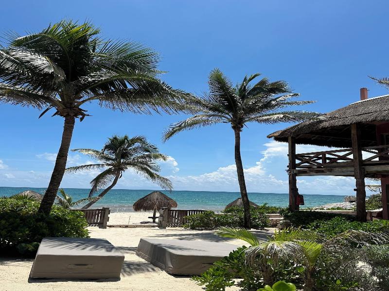 La Conchita Tulum image