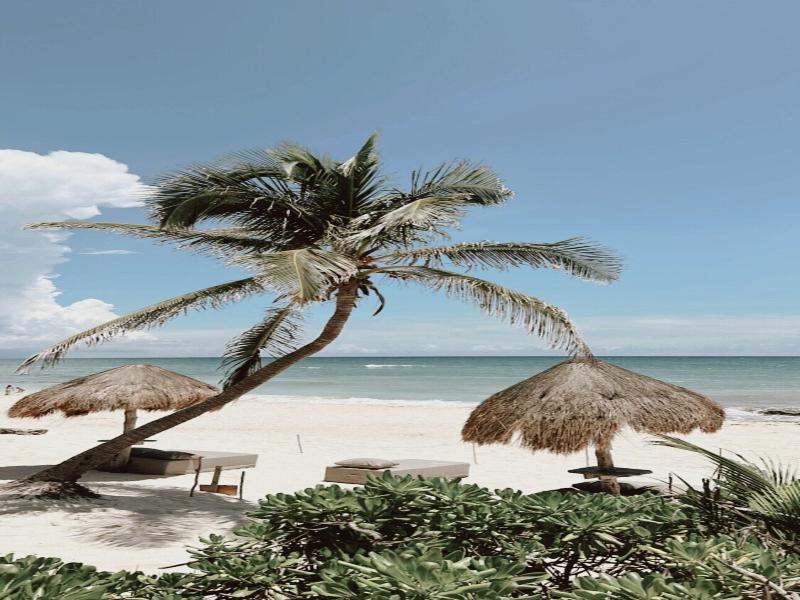 La Conchita Tulum image