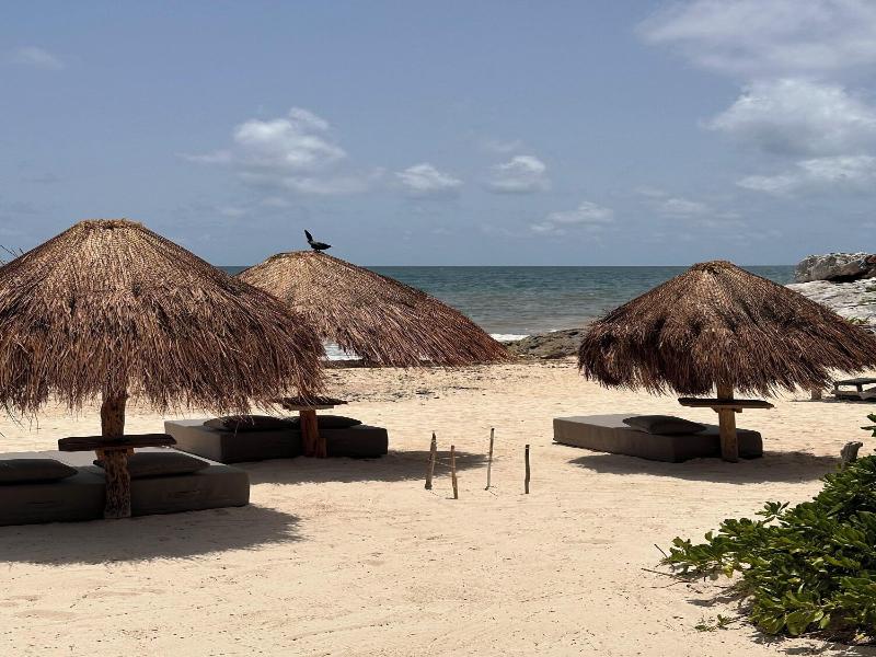 La Conchita Tulum image