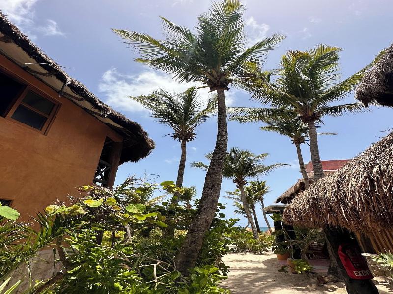 La Conchita Tulum image
