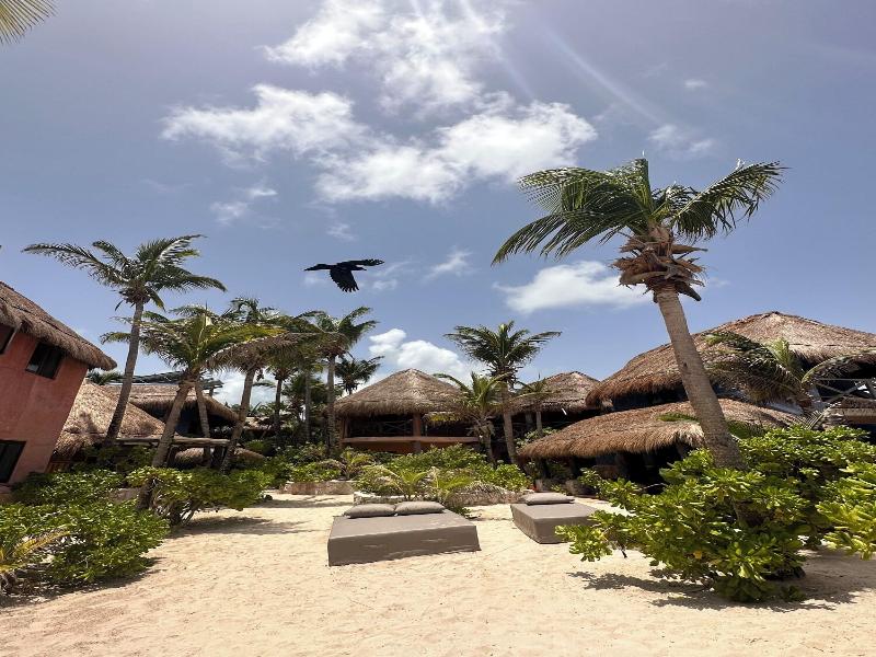 La Conchita Tulum image