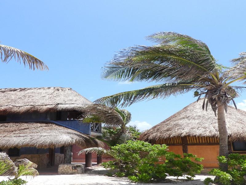 La Conchita Tulum image