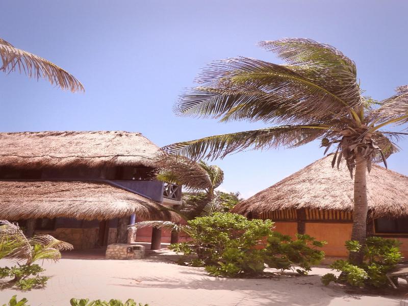 La Conchita Tulum image