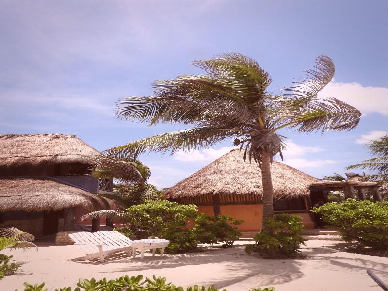 La Conchita Tulum image