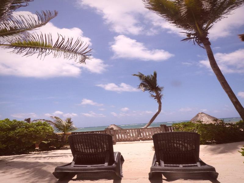 La Conchita Tulum image