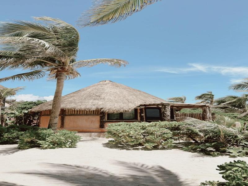 La Conchita Tulum image