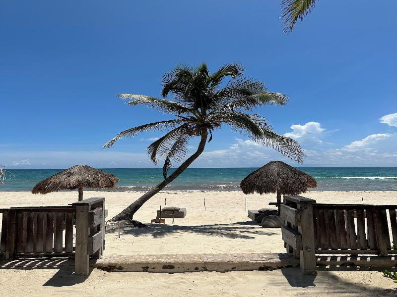 La Conchita Tulum image