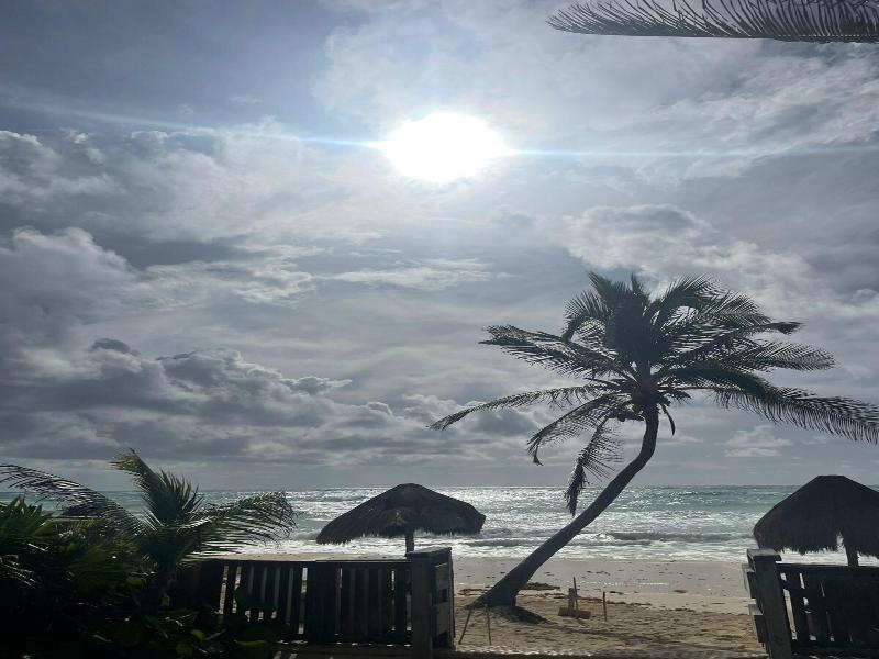 La Conchita Tulum image