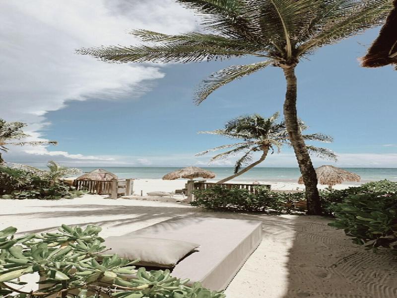 La Conchita Tulum image
