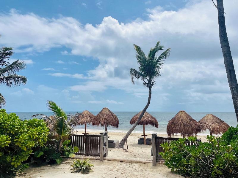 La Conchita Tulum image
