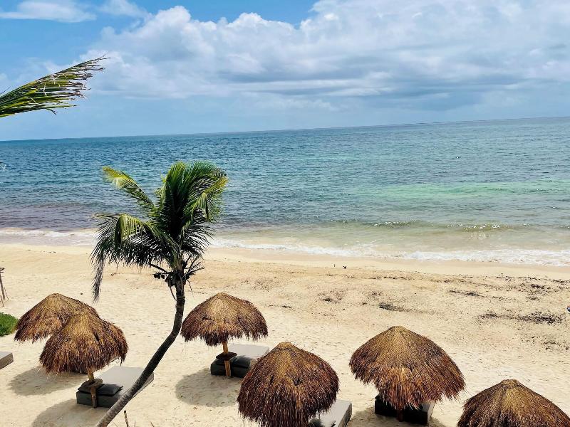 La Conchita Tulum image