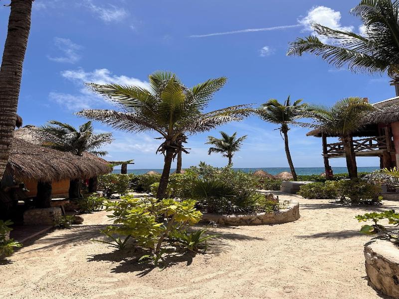 La Conchita Tulum image