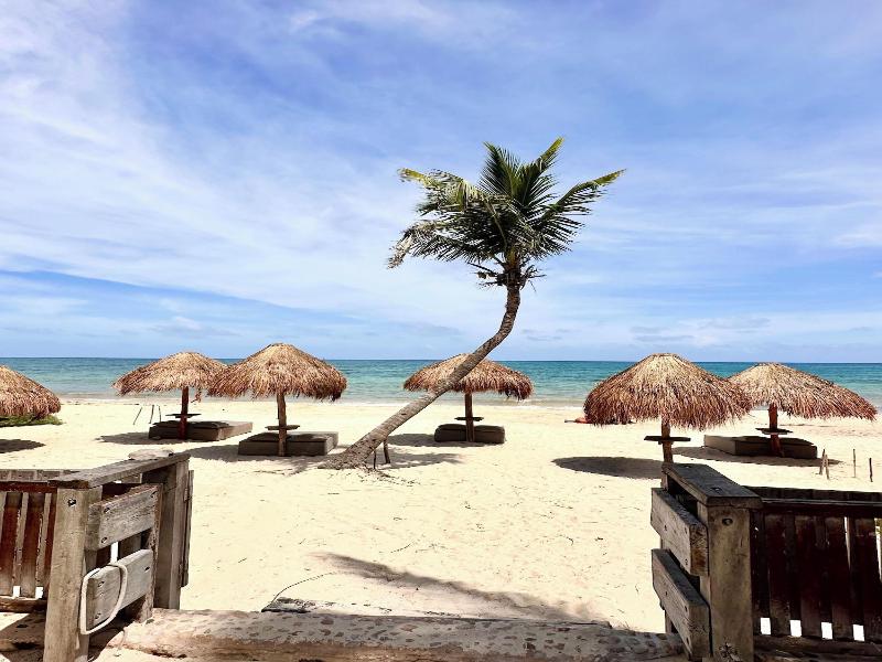 La Conchita Tulum image