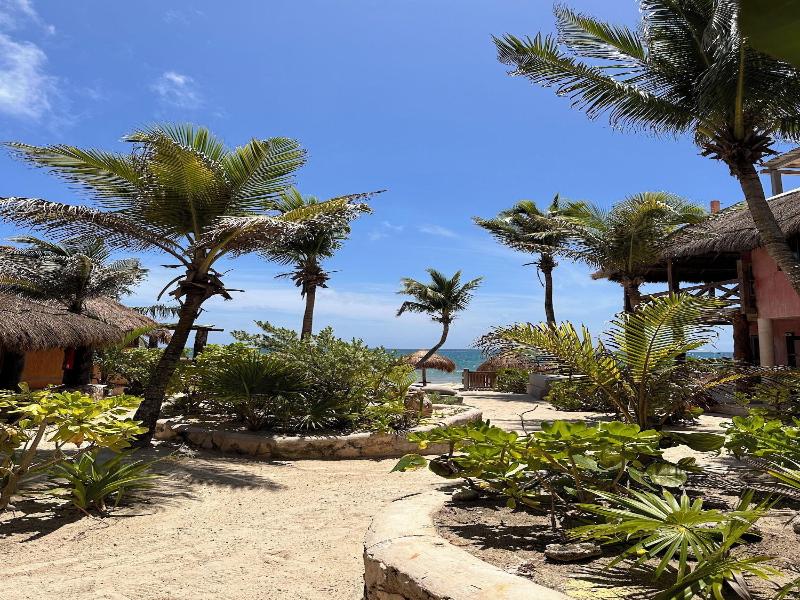 La Conchita Tulum image