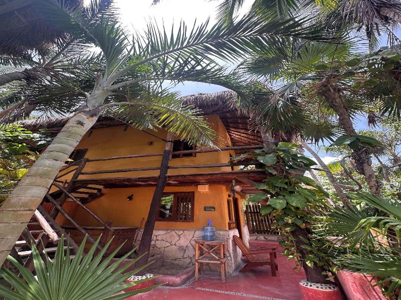 La Conchita Tulum image