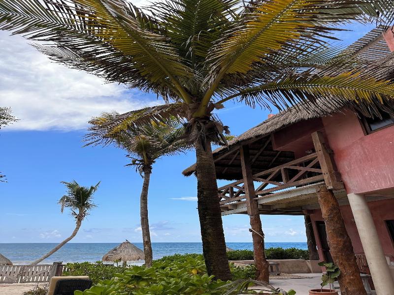 La Conchita Tulum image