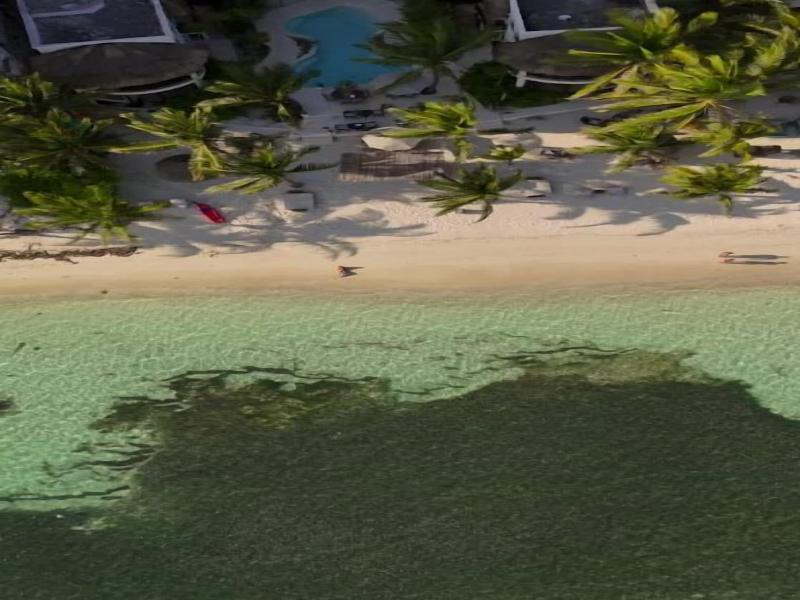 Mantaray Tulum image