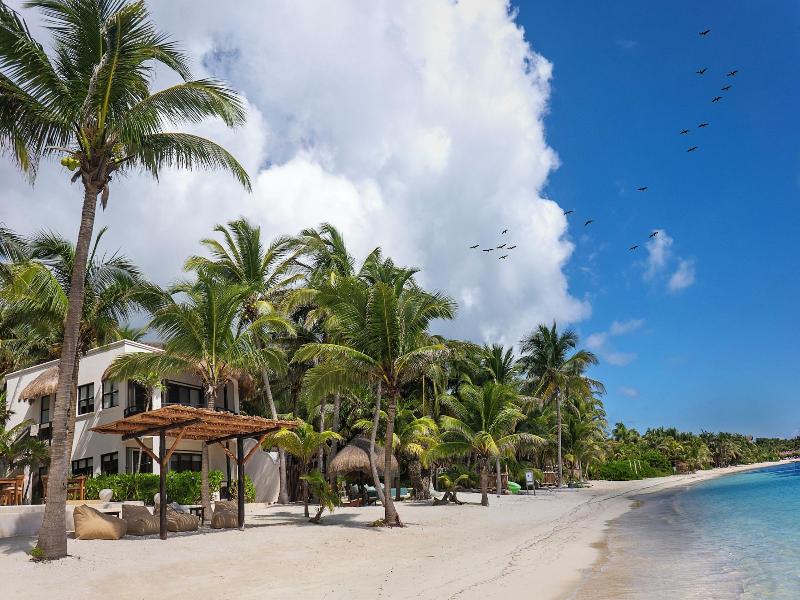 Mantaray Tulum image