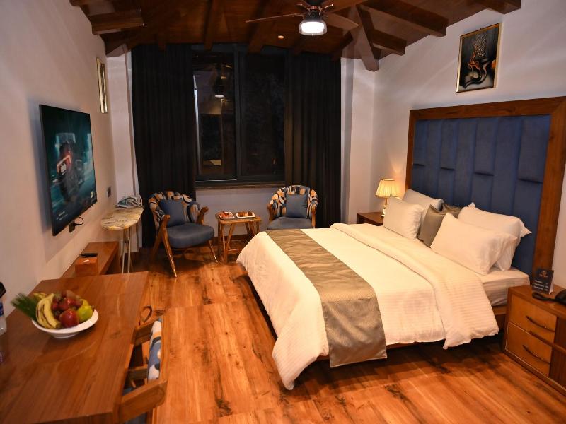 Viceroy In The Himalayas, An Alivaa Hotel — photo 112