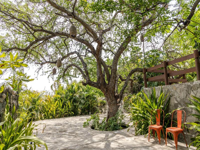 Soul Spring Sanctuary Cuernavaca image