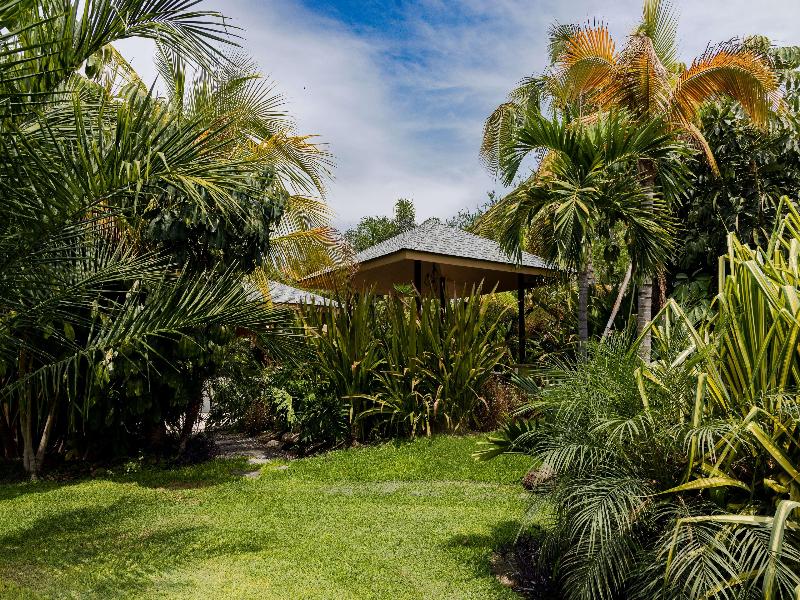 Soul Spring Sanctuary Cuernavaca image