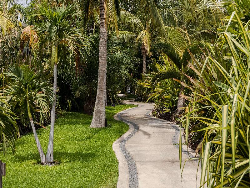 Soul Spring Sanctuary Cuernavaca image