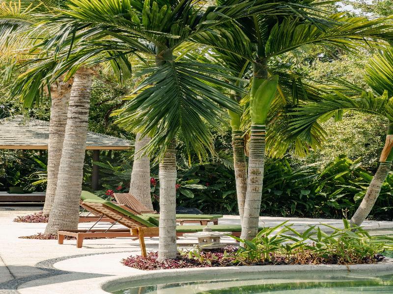 Soul Spring Sanctuary Cuernavaca image