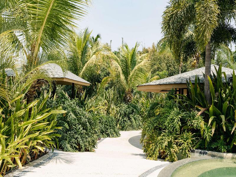Soul Spring Sanctuary Cuernavaca image