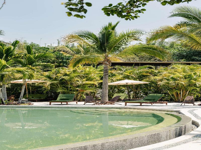 Soul Spring Sanctuary Cuernavaca image