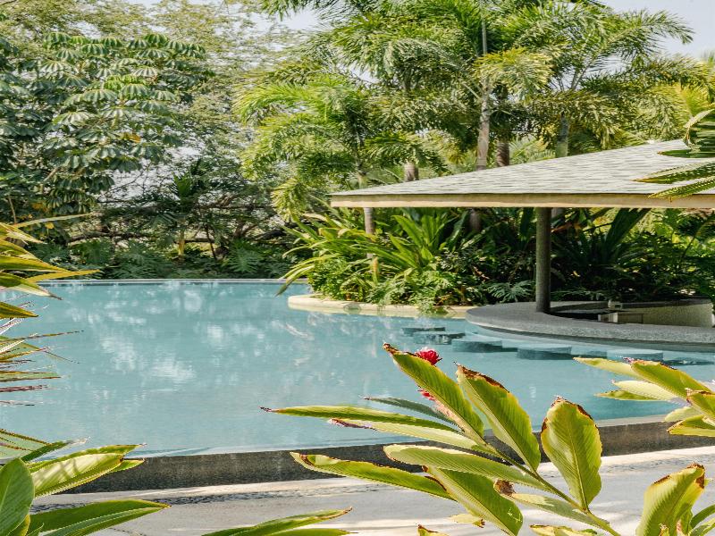 Soul Spring Sanctuary Cuernavaca image