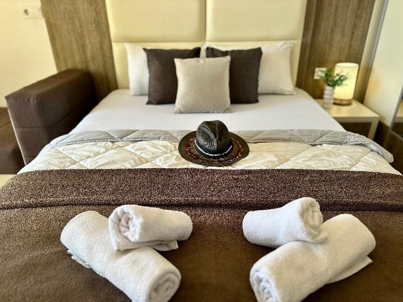 Saray Hotel image