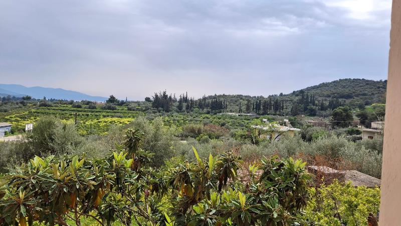 Tolo Blue Bay