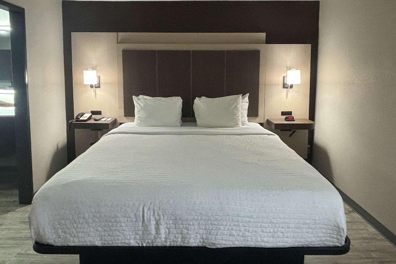 Quality Inn & Suites at Airport Blvd I-65 image