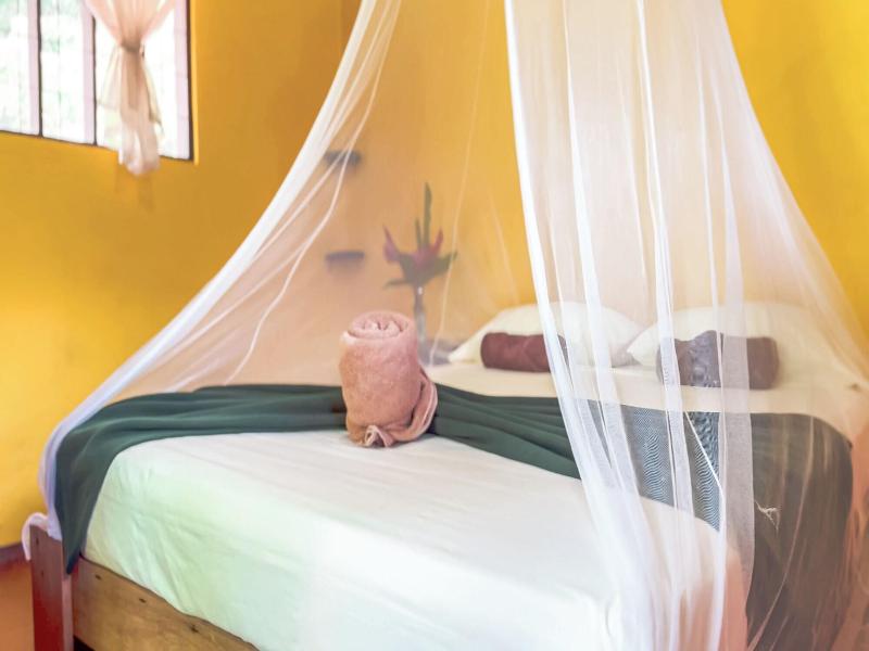 Hotel Gran Gavilan Del Sarapiqui image