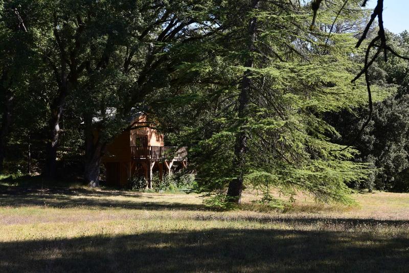 Chateau Mentone image