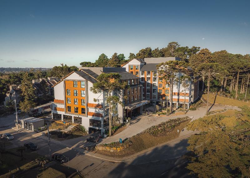 Golden Tulip Canela Oficial