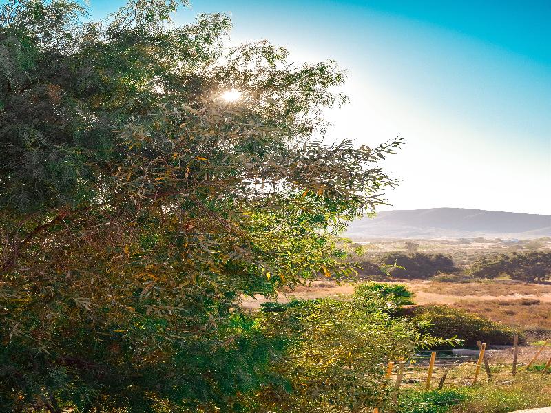 Finca Selah image