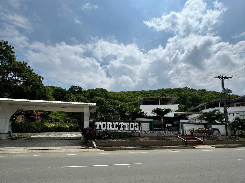 Torettos image