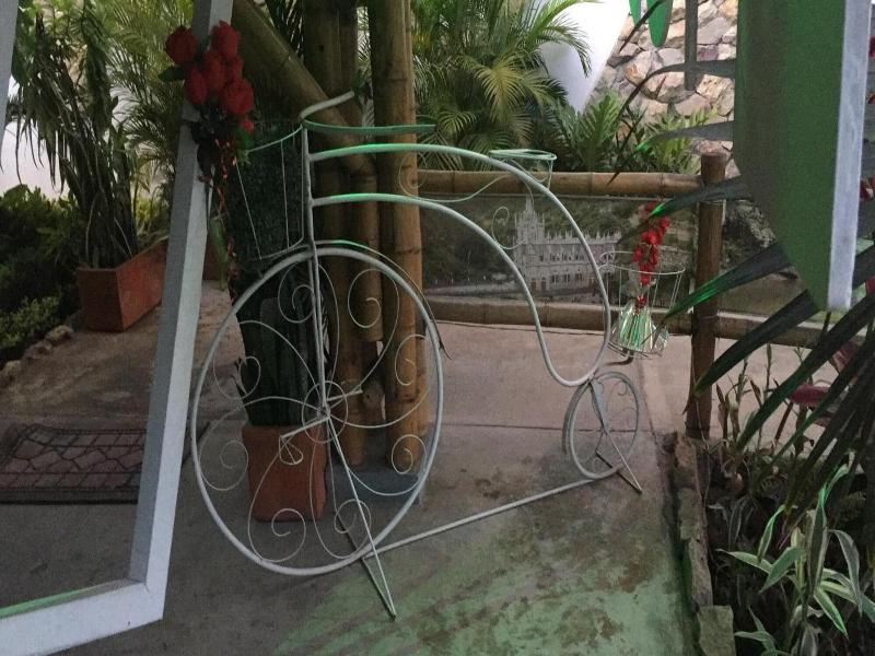 Torettos image